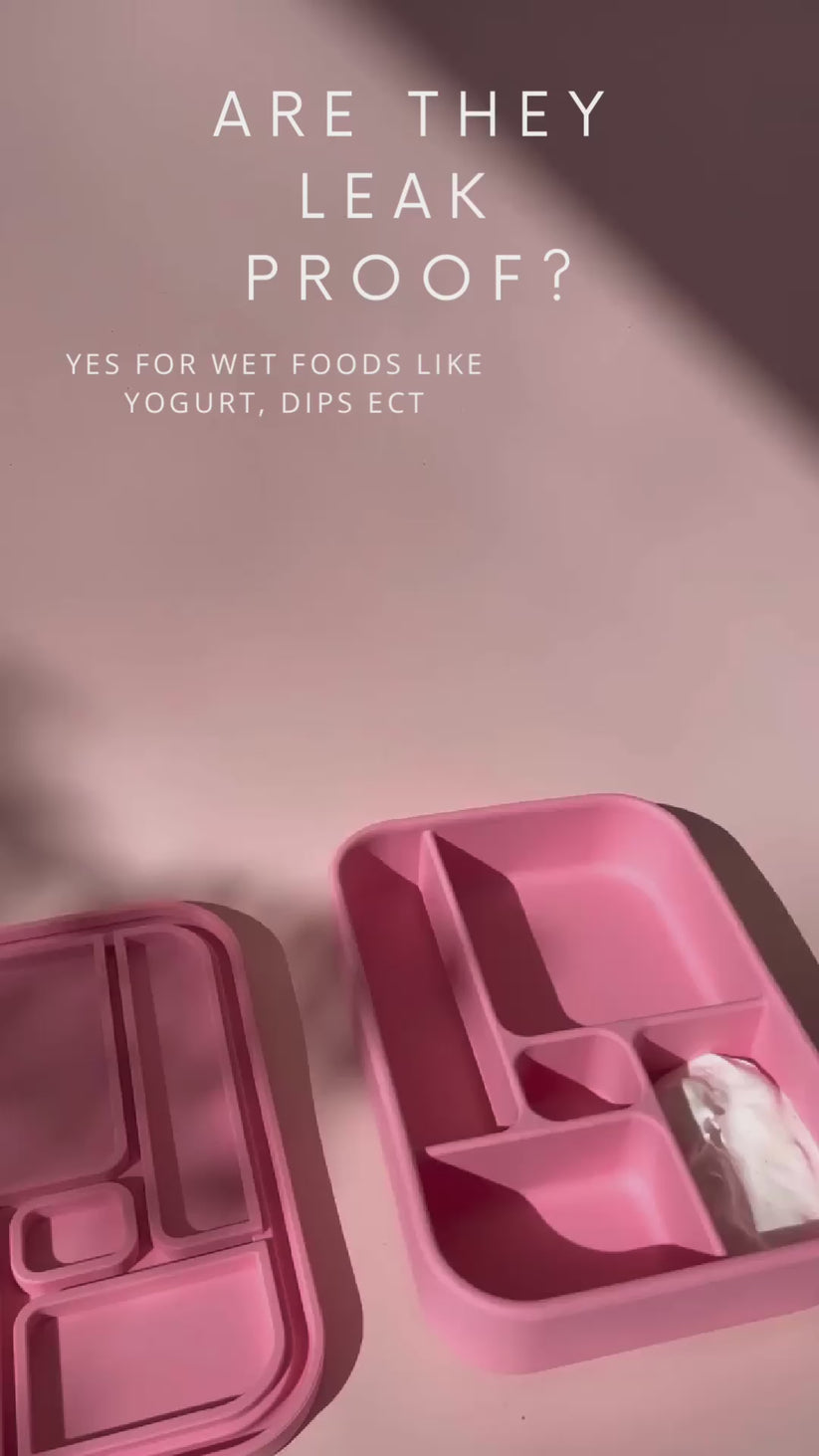 Video showing leak proof feature of Bento Lunchboxes from The Zero Waste People