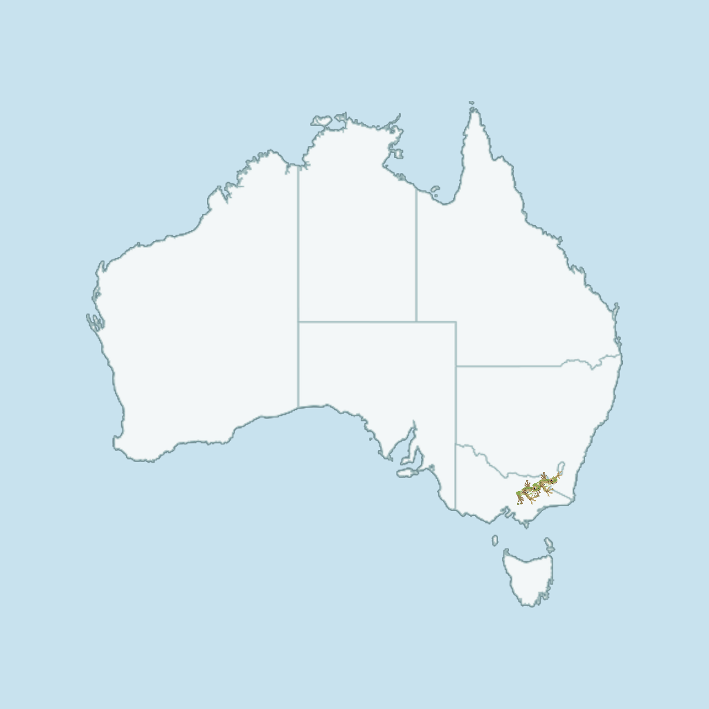 Map of Australian with Spotted Tree Frogs Habit