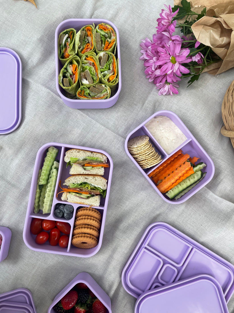 Picnic with food served in Snack Containers & bento lunchboxes from The Zero Waste People