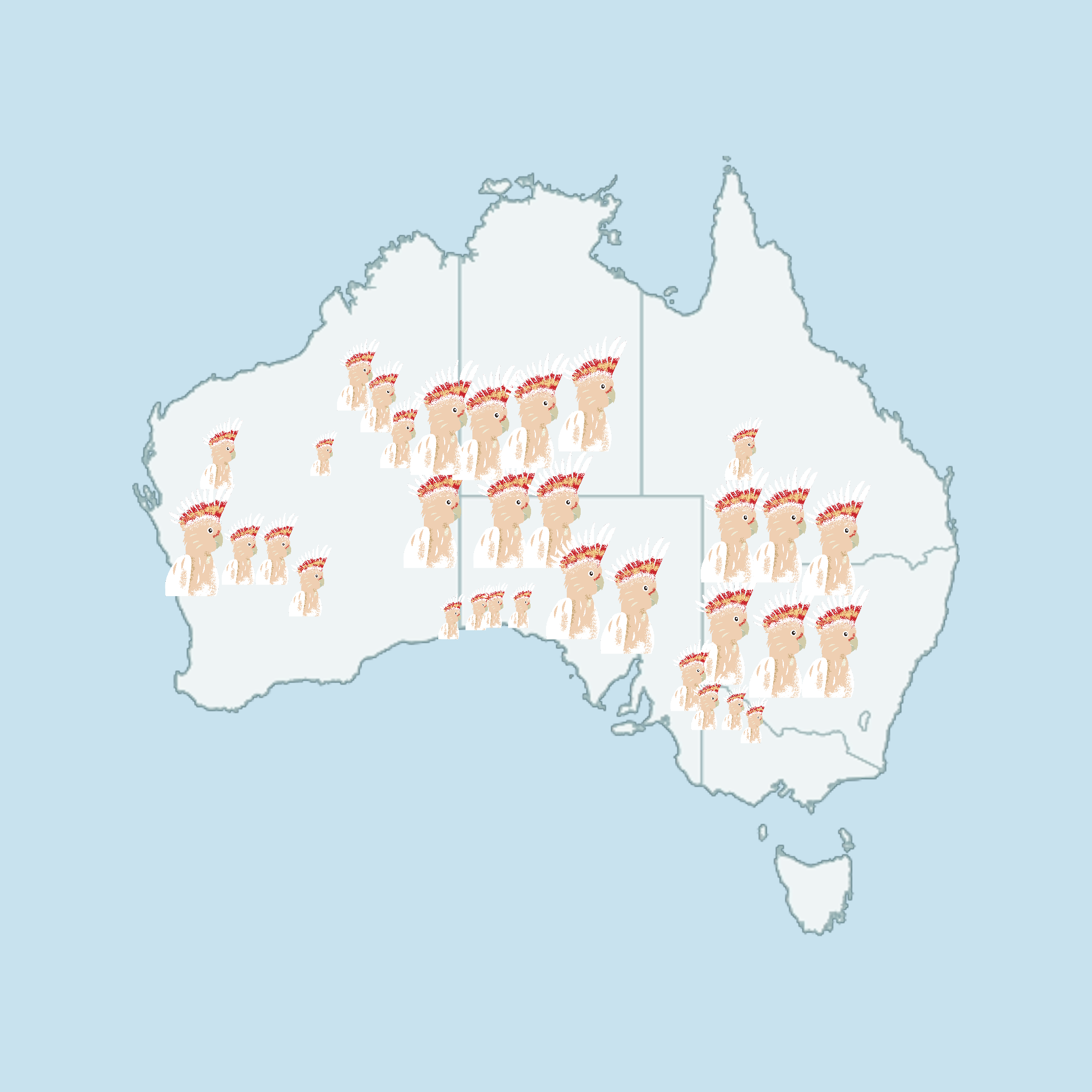 Map of Australia with Major Mitchell's Cockatoos to show where they are located