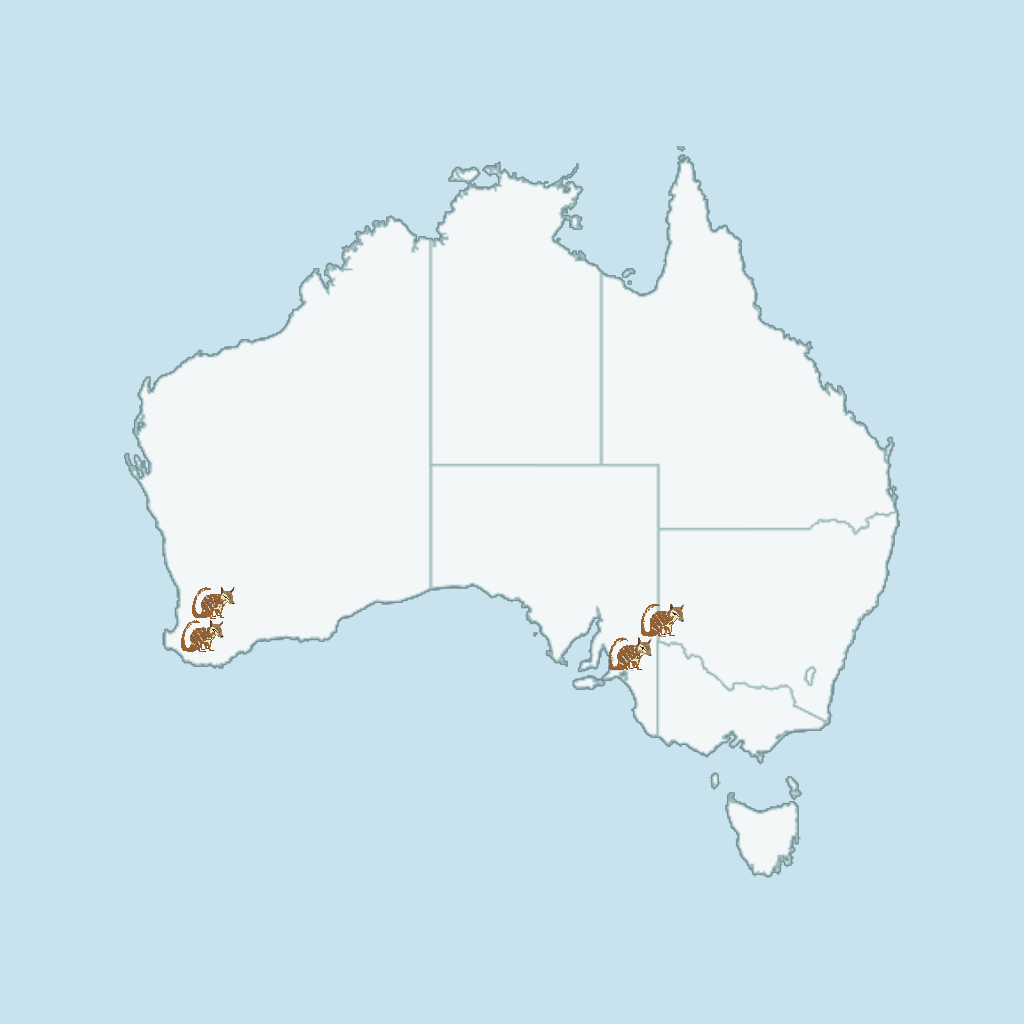 Map of Australian with Numbat Habit