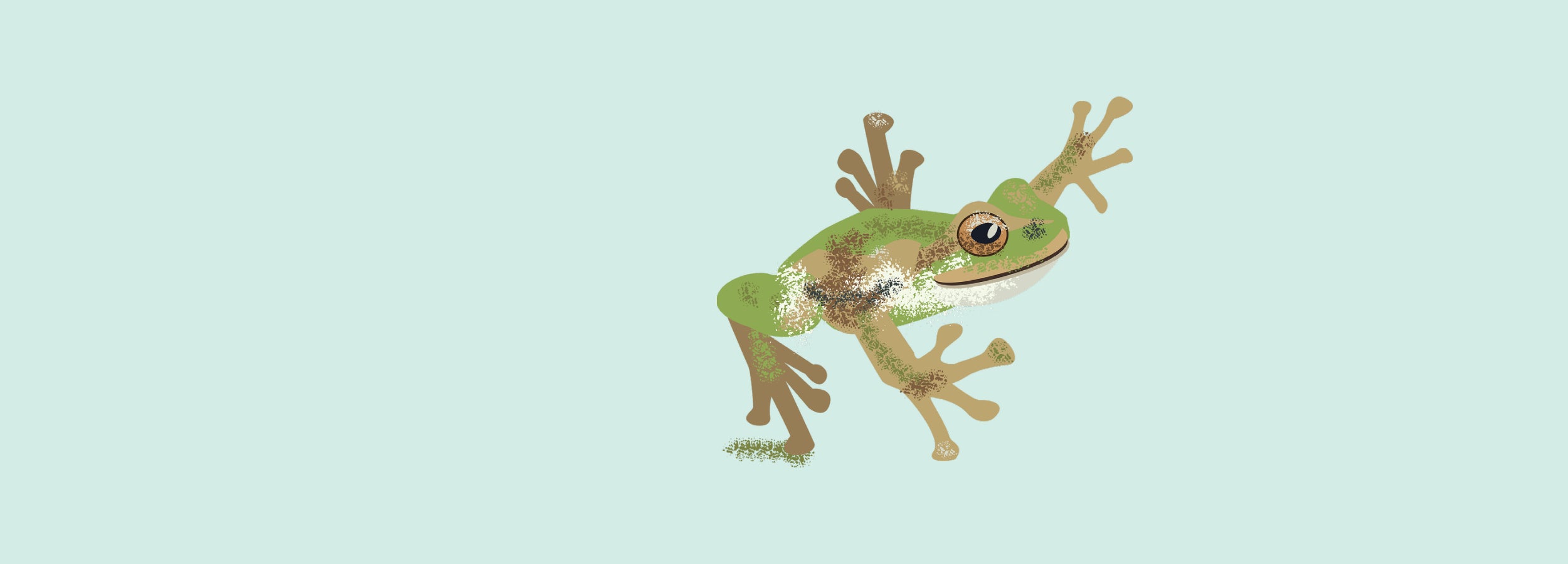Illustrated Spotted Tree Frog