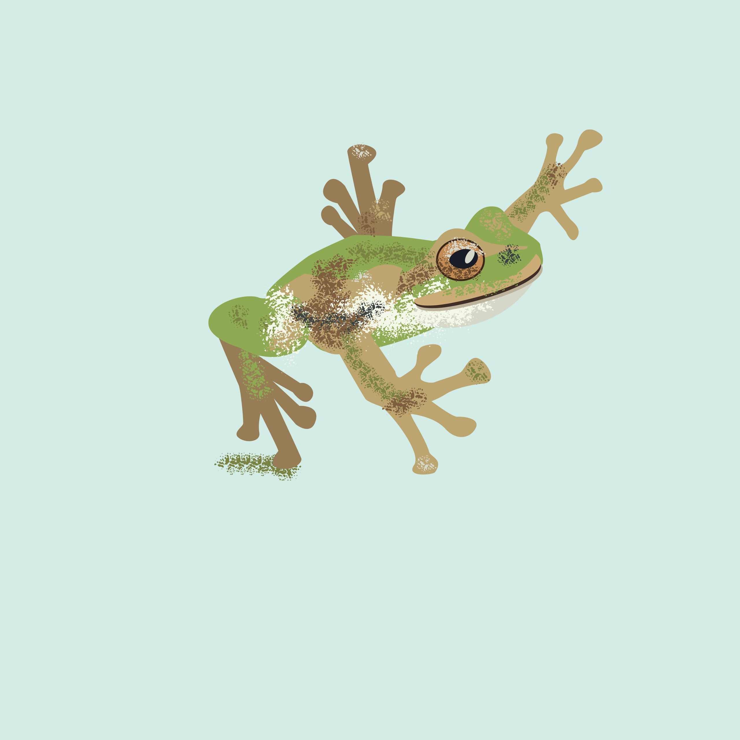 Illustrated Spotted Tree Frog