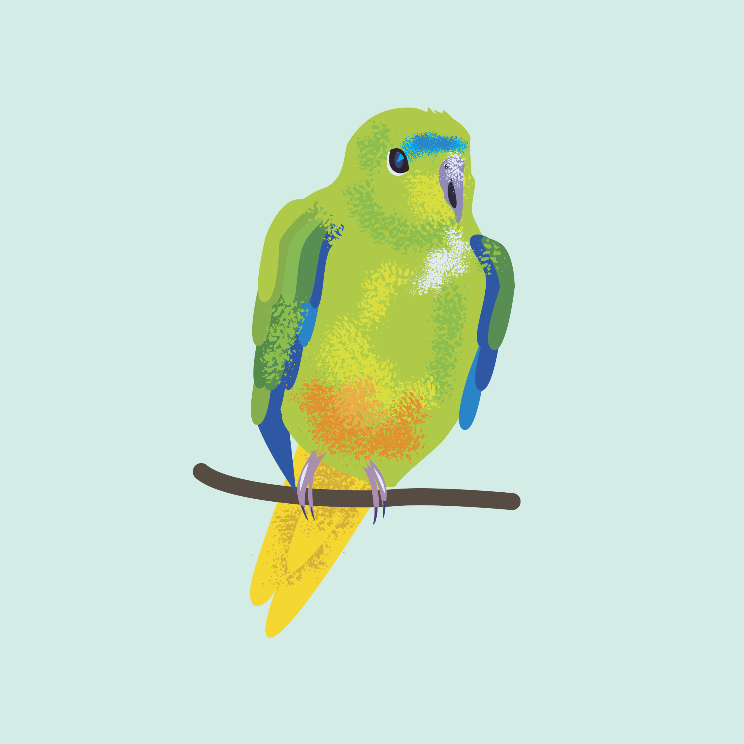 Illustrated Orange Bellied Parrot
