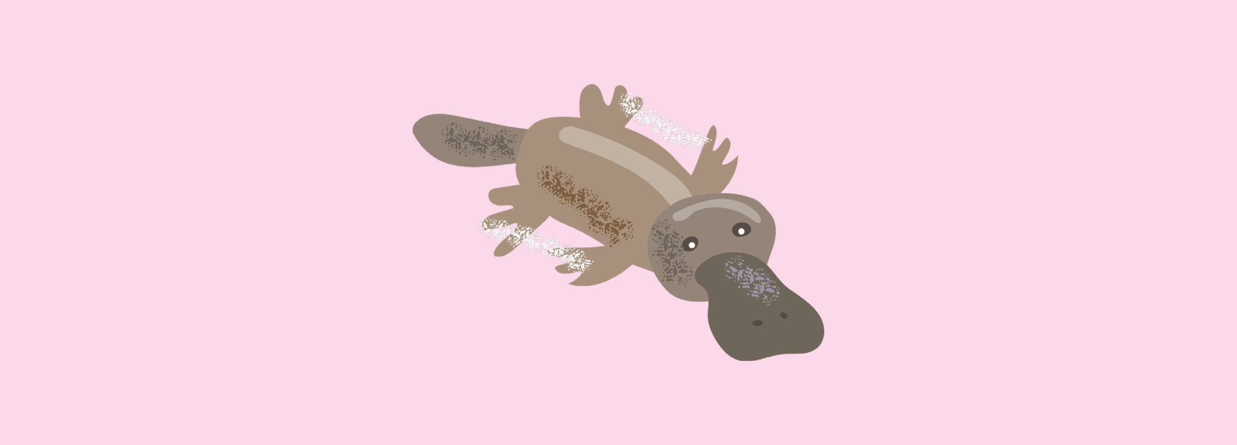 Illustrated Platypus 