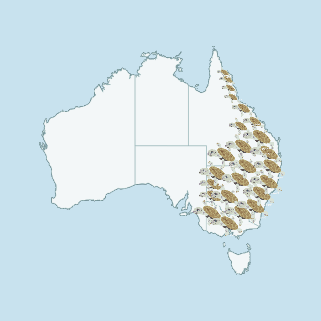 Map of Australian with Murray River Turtle Habit