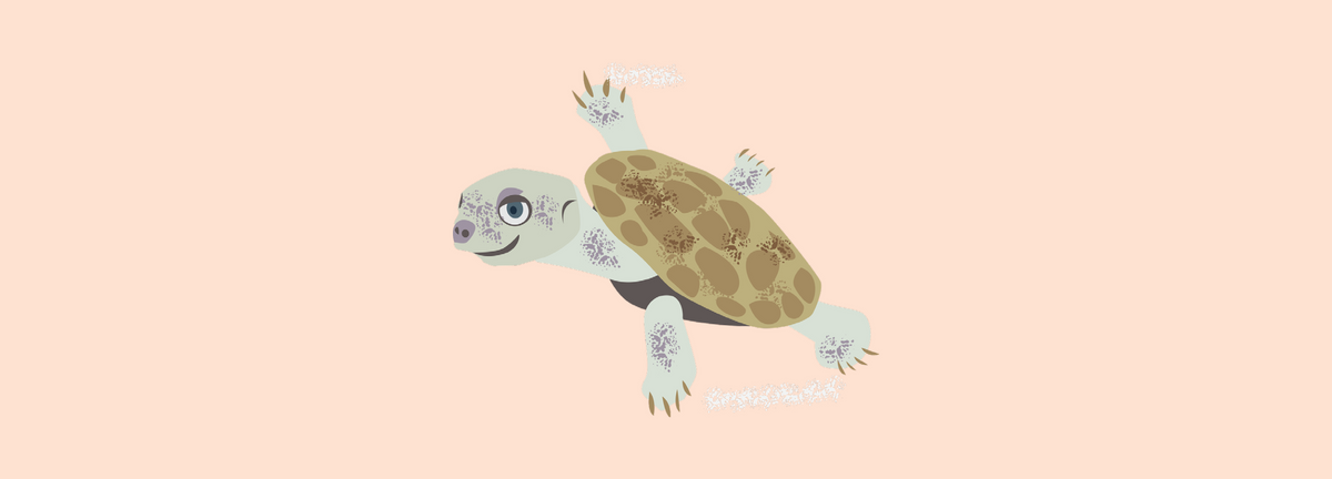Murray River Turtles – Audrey & Alfie