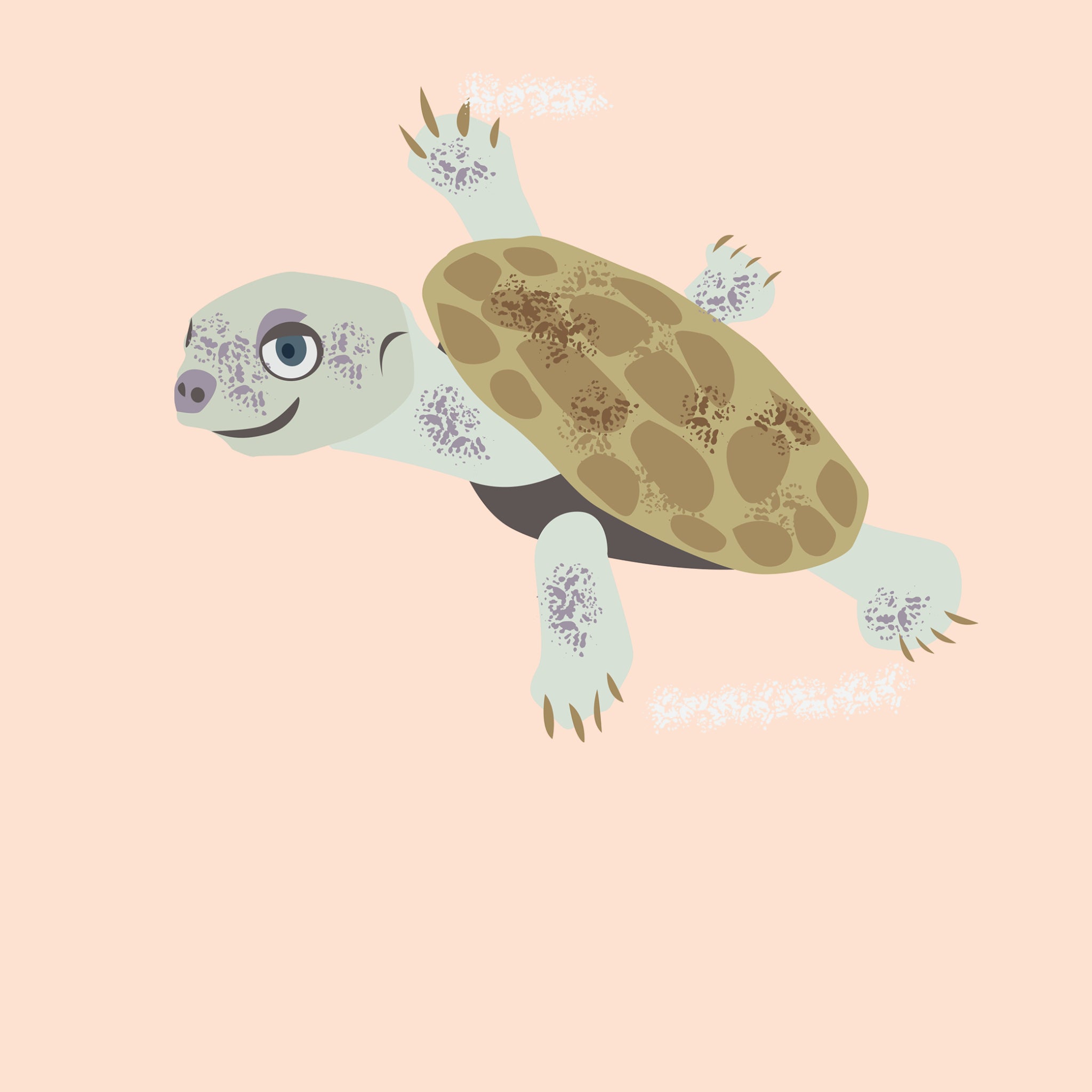 Illustrated Murray River Turtle