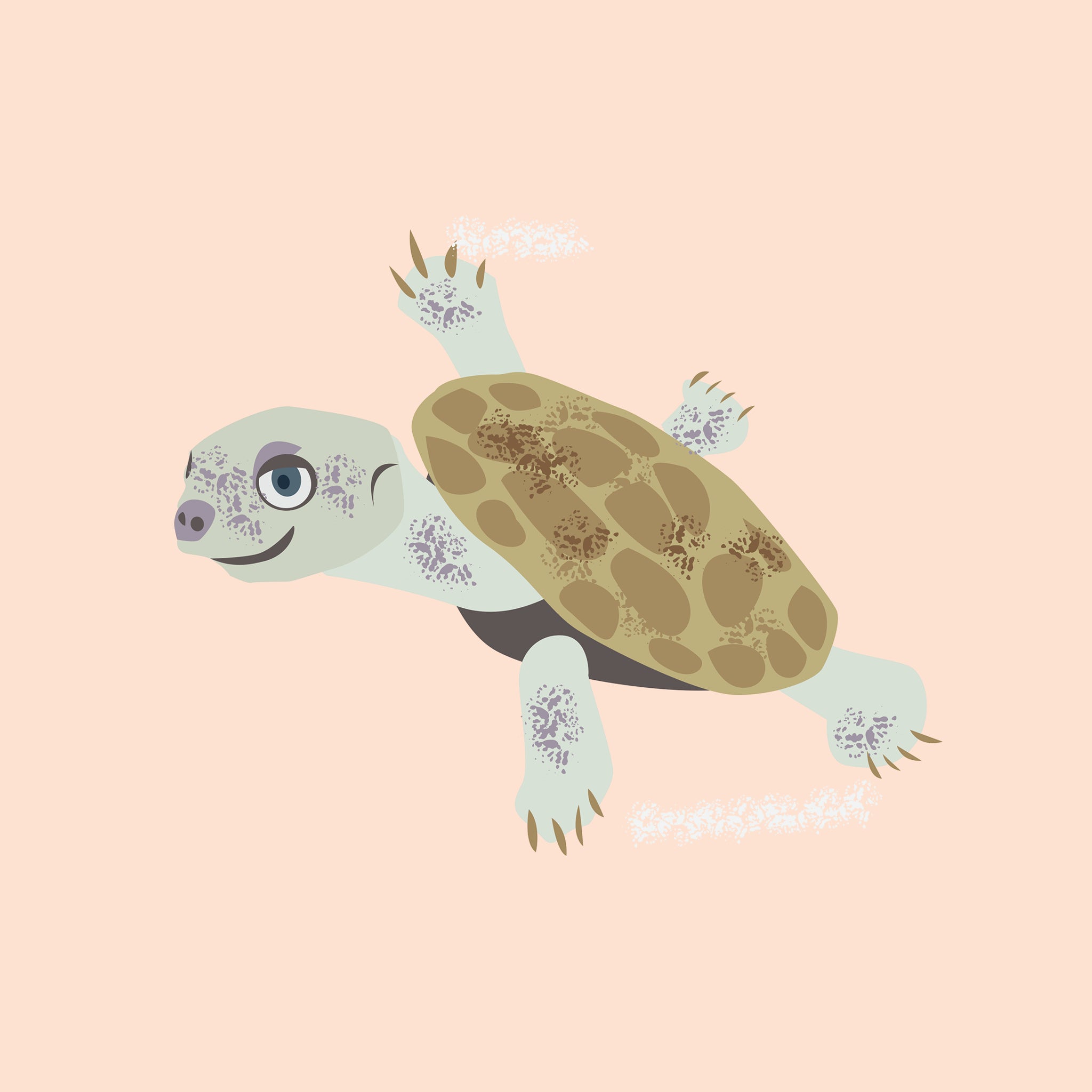Illustrated Murry River Turtle