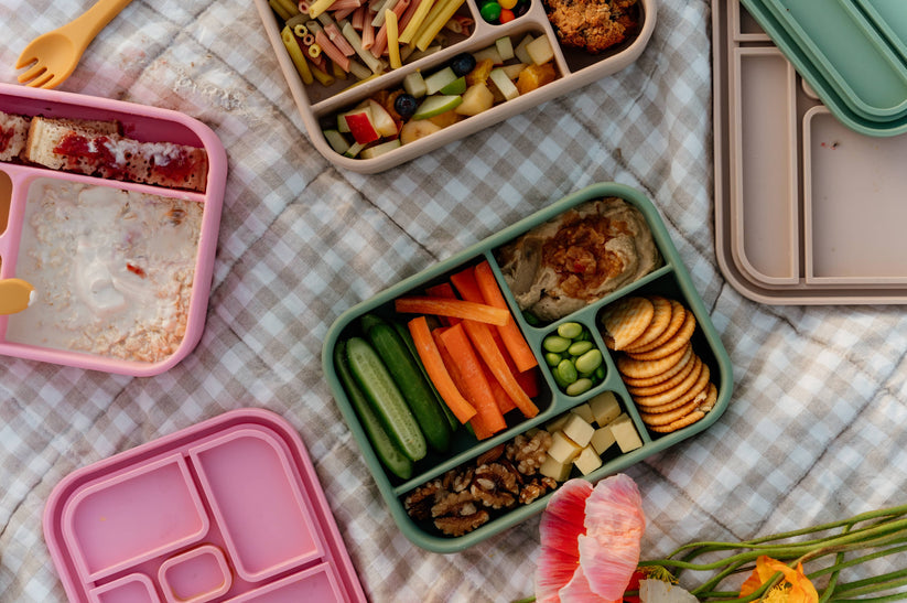 Sage Bento Lunchbox from The Zero Waste People